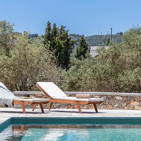 Kingstone * Σκόπελος